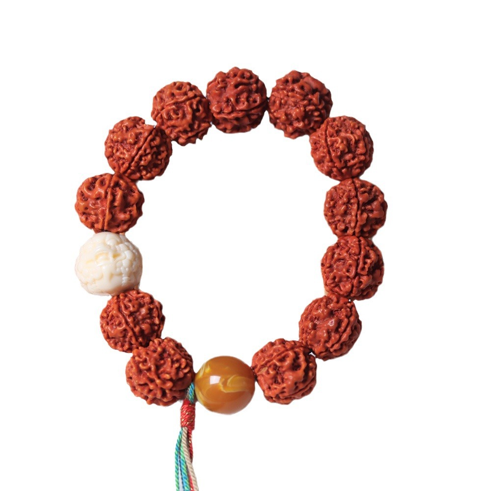 Nepal Five Petal Full Meat Dra - Women Accessories Nepal ulasan dan harga